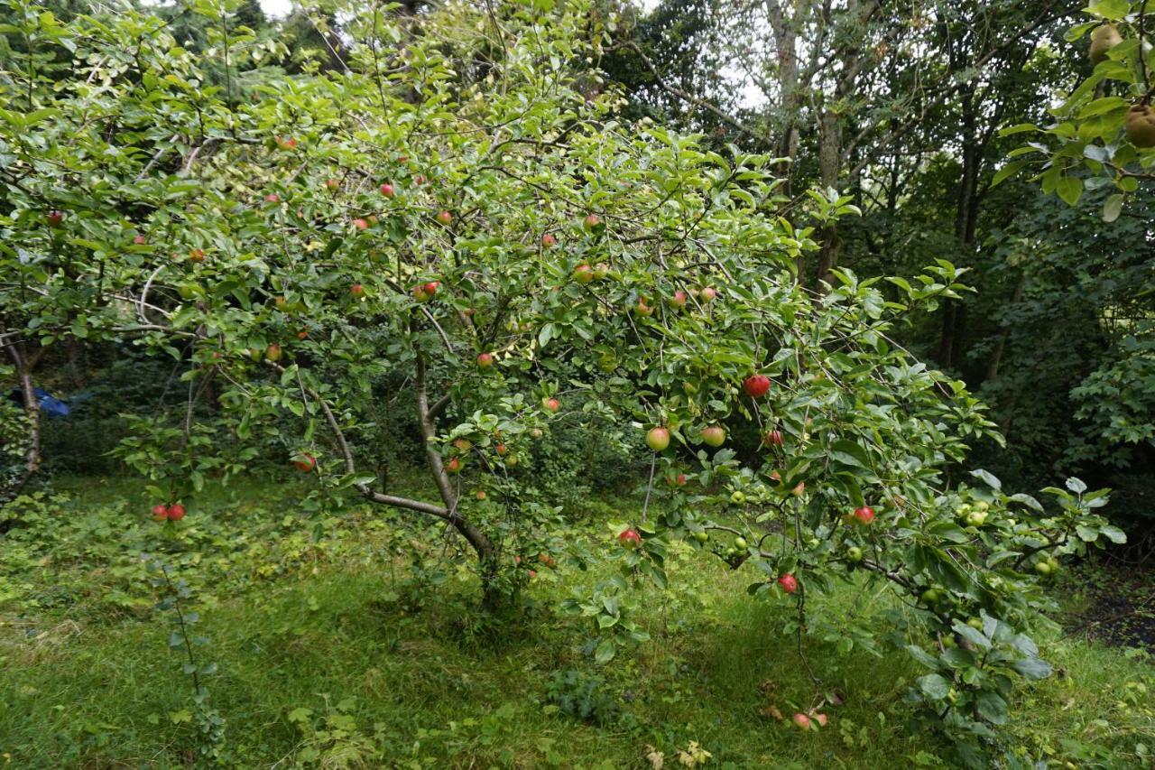 בית הארחה לוקאן 	Mount Pleasant Country House מראה חיצוני תמונה